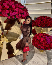 Load image into Gallery viewer, Ariana Mesh Dress
